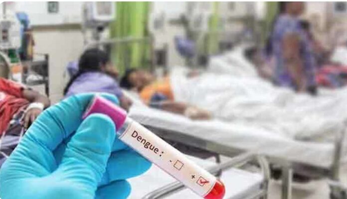 IMG_20260703_155957