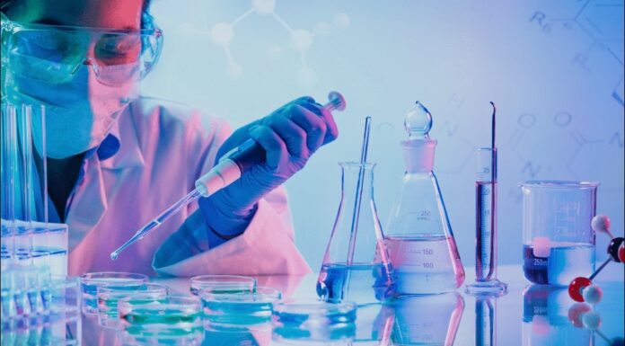 IMG_20260825_152022
